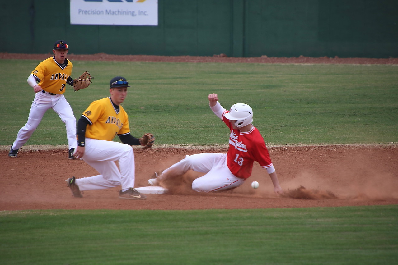 Crusader Baseball 2018