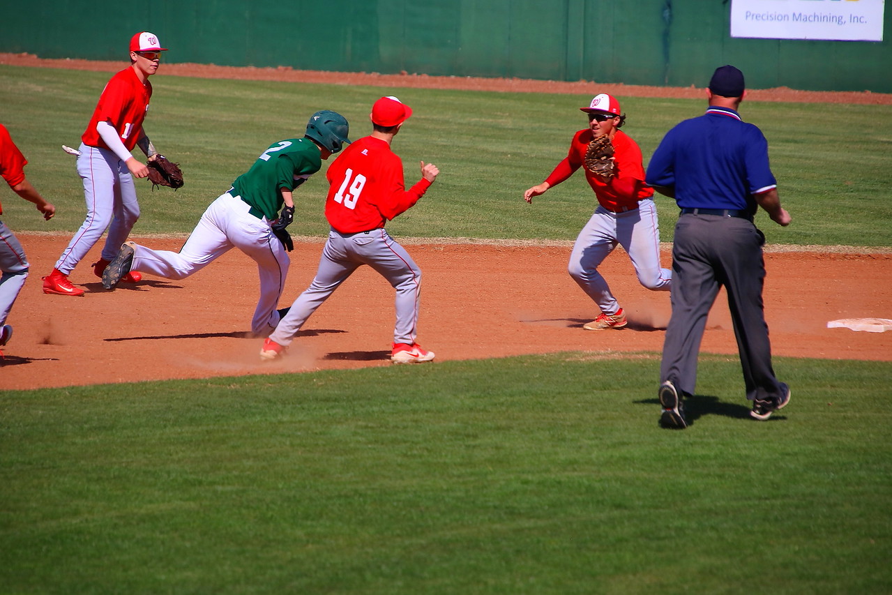 Crusader Baseball 2018