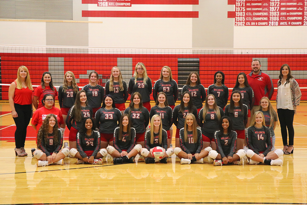 2019 Volleyball @ Collegiate