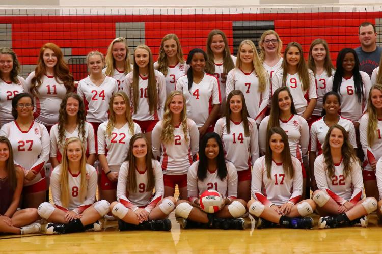 2017 Volleyball Team