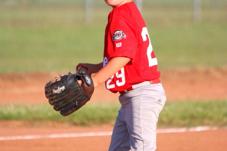 Wellington 9 yo's State Tournament Bound!