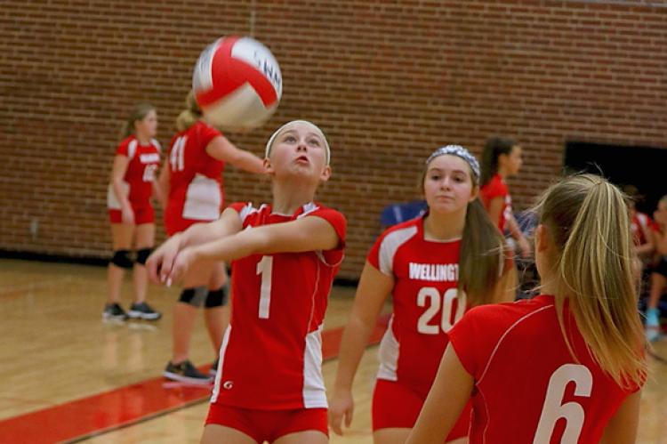 WMS 7th Grade Volleyball HERE 091117