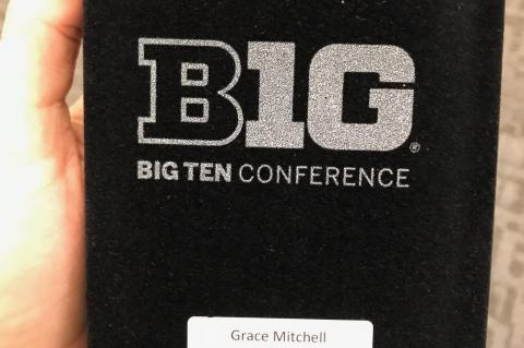 Big Ten Distinguished Scholar Award