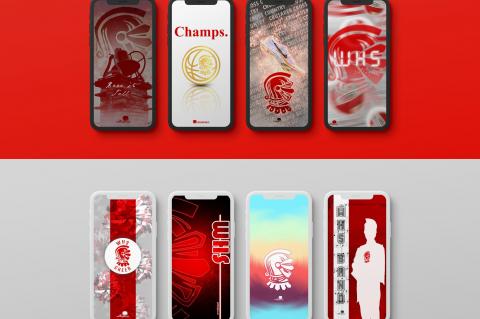 wallpaper examples