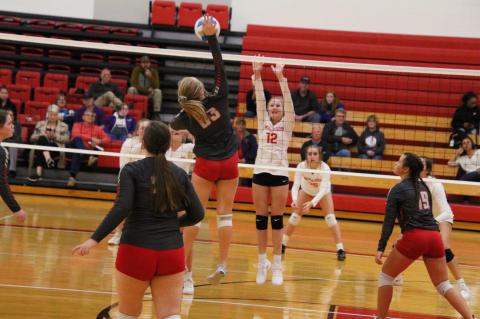 WHS Freshman Volleyball